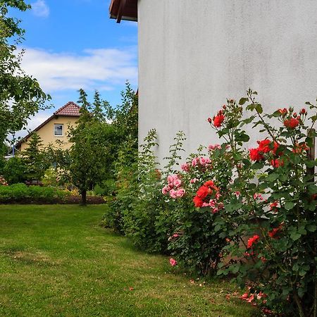 Hotel-Pension Am Rosarium Sangerhausen Buitenkant foto
