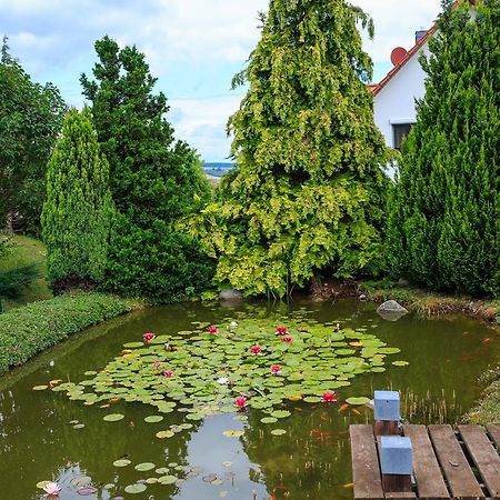 Hotel-Pension Am Rosarium Sangerhausen Buitenkant foto