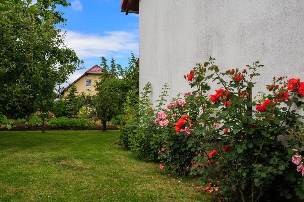 Hotel-Pension Am Rosarium Sangerhausen Buitenkant foto