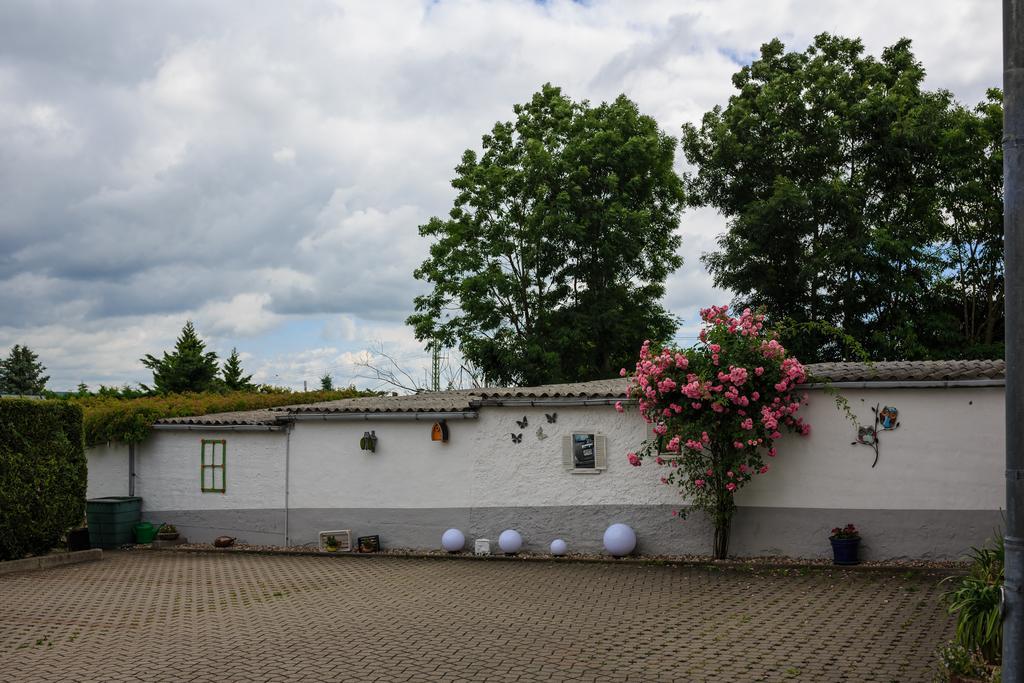 Hotel-Pension Am Rosarium Sangerhausen Buitenkant foto